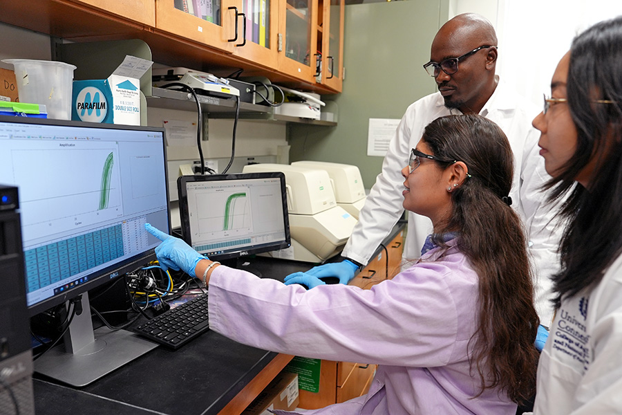 link to dept. of nutritional sciences